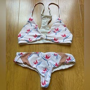 Acacia Birds of Paradise set